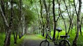 花東「徐行縱谷」自行車領騎培訓、玩騎認證、暑期優惠遊程陸續推出 - 財經