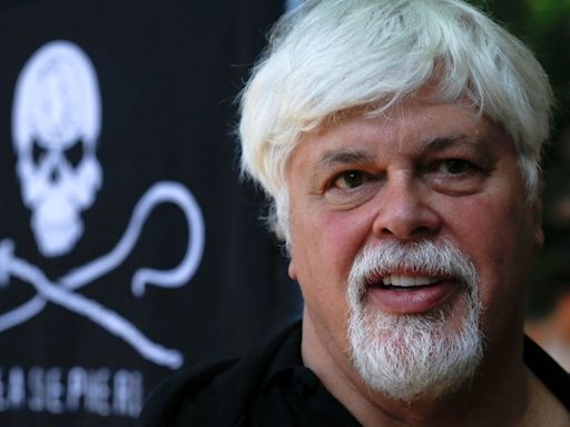 Veteran anti-whaling activist Paul Watson could be extradited to Japan after arrest in Greenland, his foundation says