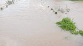 Rain continues in Malnad areas of three districts