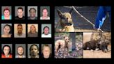 The 30 Faces of Animal Abuse in Upstate New York