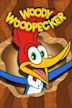 Woody Woodpecker (2018)