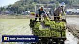 Grain reigns supreme in China’s food security as country seeks record yields