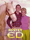 Mister Ed, il mulo parlante