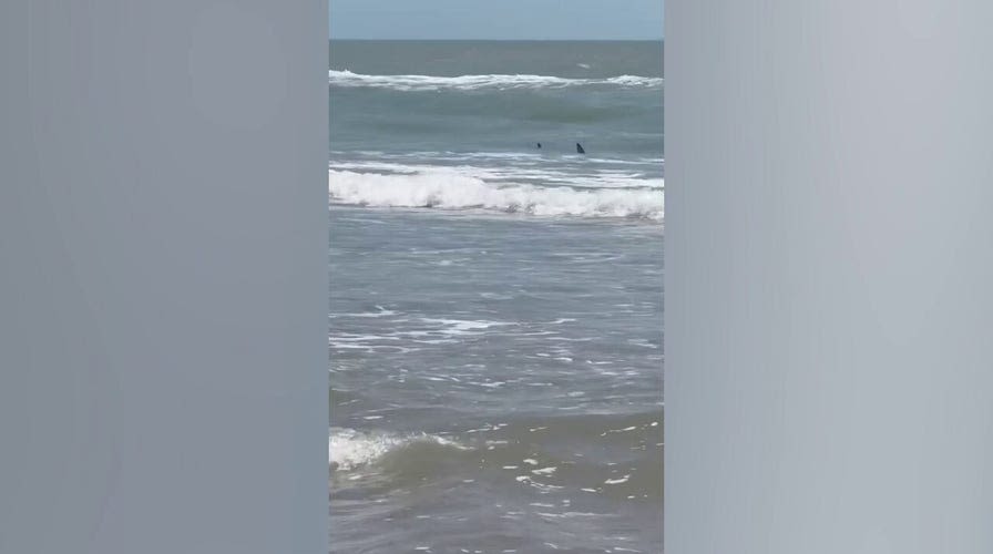 Texas South Padre Island shark attack survivor says her leg is ‘pretty much gone’