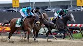 Seize the Grey wins the 149th Preakness Stakes