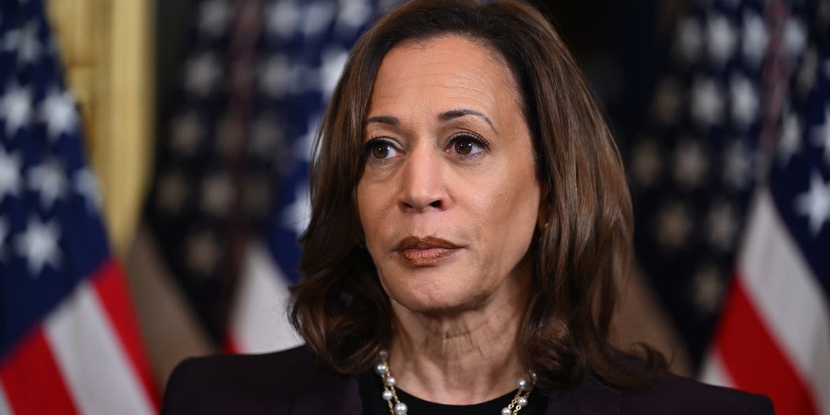 'Too little, too late': Harris warned she could repeat historic mistake with VP pick