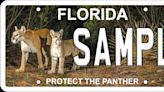 New Florida Protect the Panther specialty license plate available