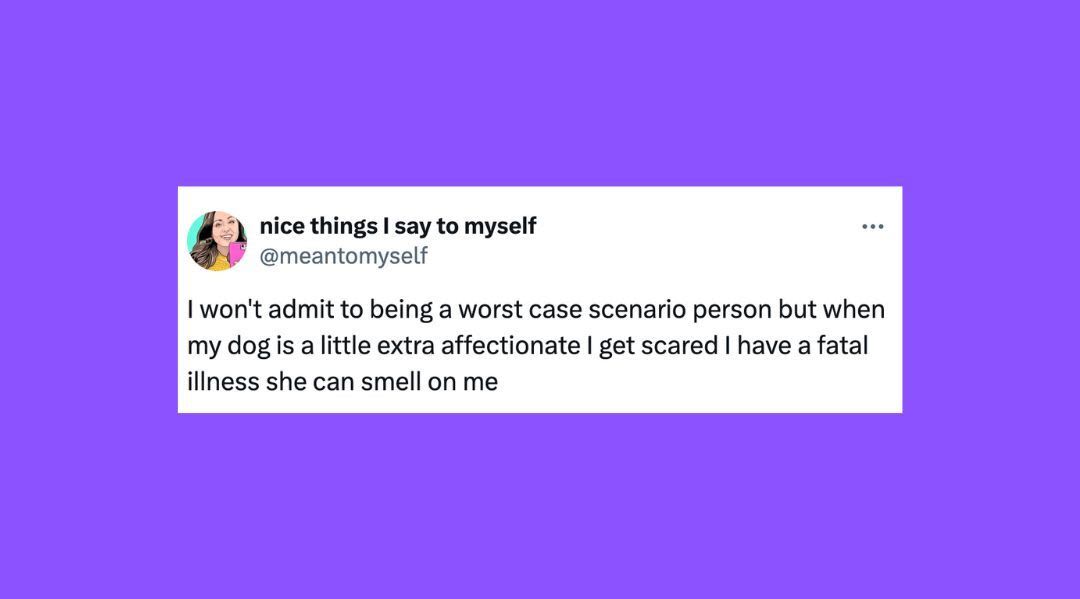 26 Of The Funniest Tweets About Cats And Dogs This Week (Aug. 3-9)