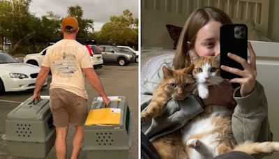 Moment couple who moved across world reunites with cats two years later