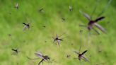 Ohio EPA grants funds to local Health Departments for mosquito control