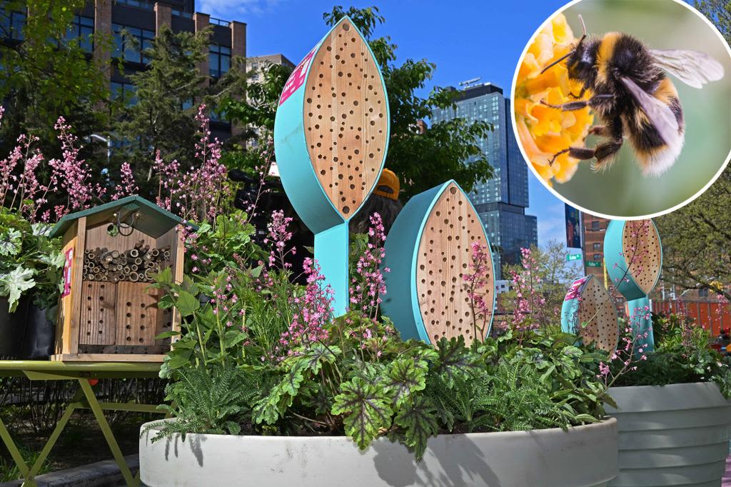 Honey, they’re home! ‘Bee hotels’ coming to 7 NYC plazas to help at-risk pollinators