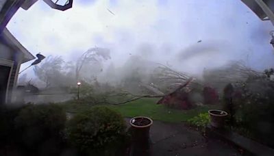 Watch: Michigan tornado flattens 'every single tree on property' in 45 seconds