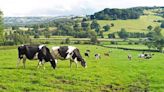 102 acres of Sligo farmland sells for €1.12m - news - Western People