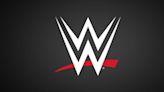 WWE reality show & documentaries planned for first year of Netflix deal