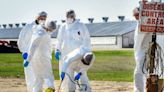 Cause of next pandemic predicted with 50% death rate and infected 'wiped out'
