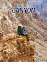 Into the Canyon