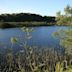 Taynish National Nature Reserve