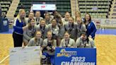 Lansing sweeps way to Class B state title in volleyball