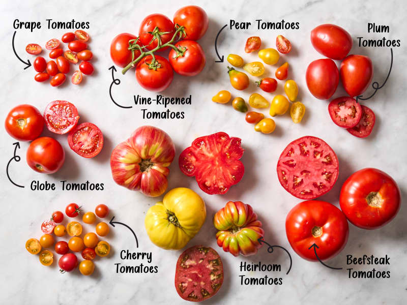 8 Types of Tomatoes You Should Know