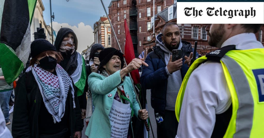 Pro-Palestine demonstrators allegedly spat and spewed ‘anti-Semitic remarks’ at counter-protesters