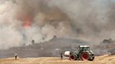 "La vegetación no está tan estresada gracias a una primavera muy lluviosa"