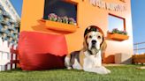 Supersize doghouse is the 'ultimate paradise' for pets