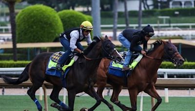 Muth, Imagination Breeze in Company for Preakness