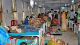 Health Ministry reviews Chandipura virus, Acute Encephalitis Syndrome cases in Gujarat, Raj and MP - ET HealthWorld