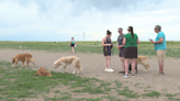 Colorado dog park advocates prepare for city council meeting on Monday