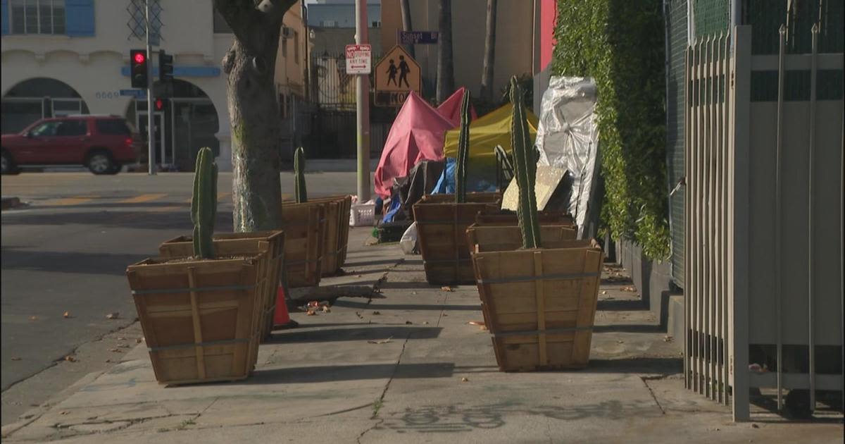 Hollywood recording studio installs cactus planters to break up homeless encampment