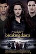 Breaking Dawn – Biss zum Ende der Nacht, Teil 2