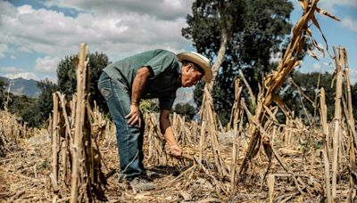 Sequía en Aguascalientes empuja a campesinos a emigrar hacia Estados Unidos