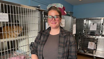 Construction set to resume on P.E.I. Humane Society's 'fear-free' shelter