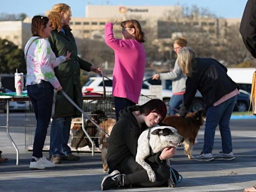 Weekend 5K race highlights a Macon couple’s efforts to rescue stray dogs, cats