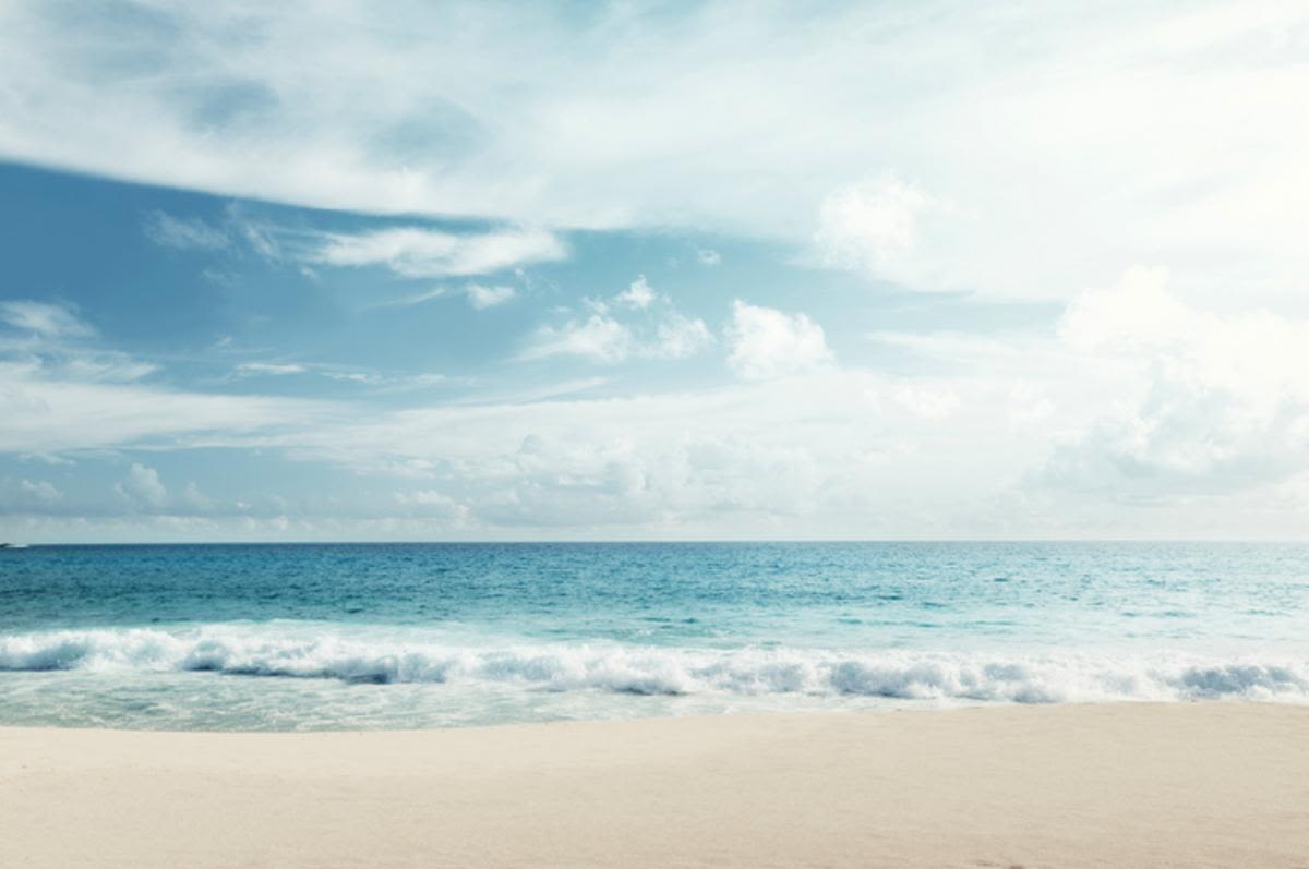 Plane Makes Emergency Landing on Beach in New York State