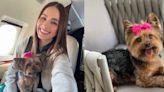 Cynthia Rodríguez llora la muerte de su perrita con desgarrador mensaje: “Me arrancaron una parte sin tí”