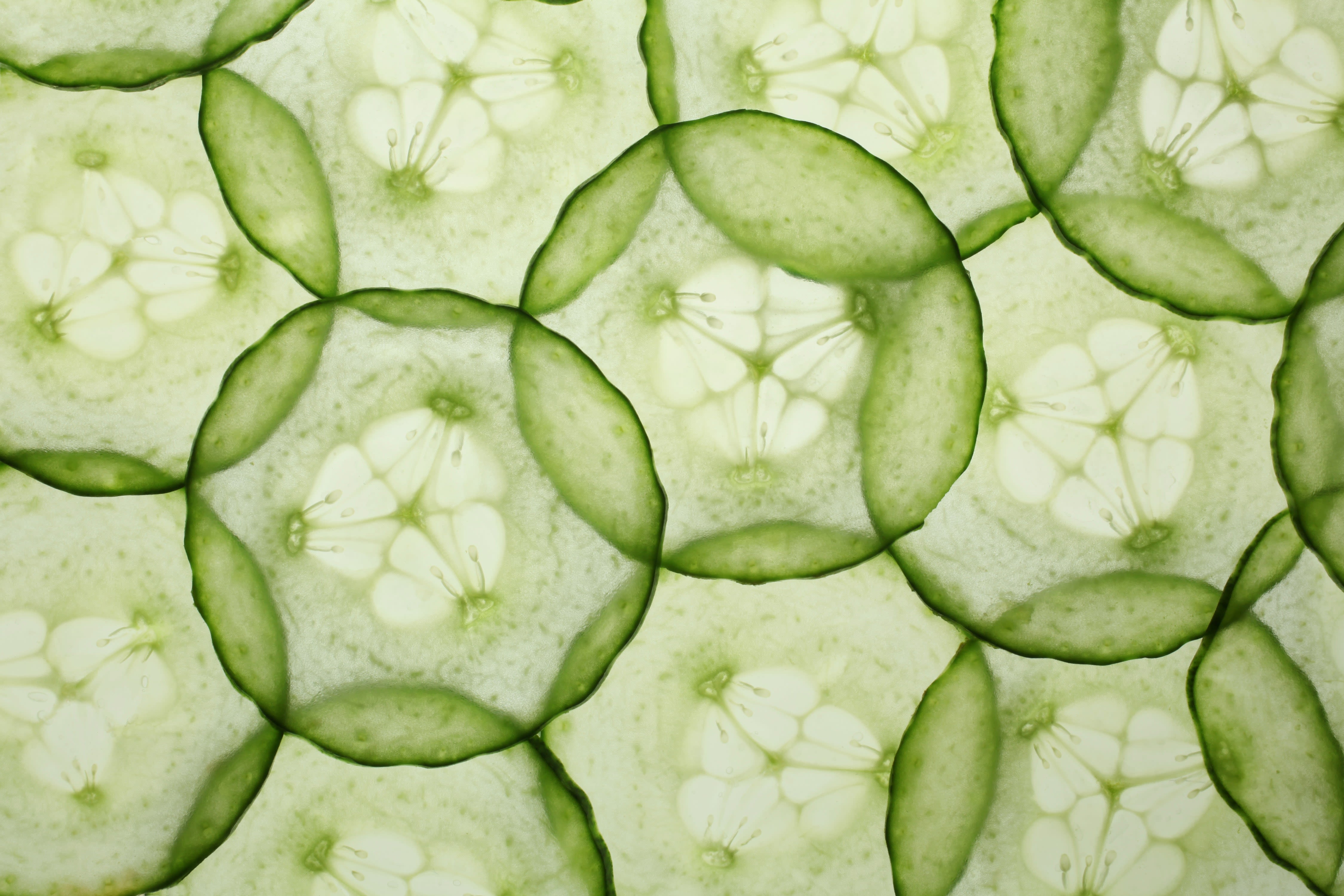 Cucumbers Linked to Salmonella Could Pose ‘Serious Adverse Health Consequences or Death’