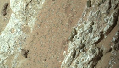 Perseverance rover finds evidence that suggests ancient microbial life might have existed on Mars