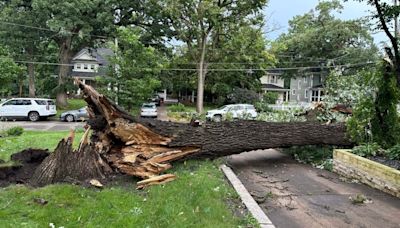 4 tornadoes hit Indiana around midnight; woman dies after tree falls on home