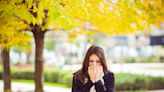 There is good news and bad news for allergy sufferers this fall