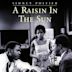 A Raisin in the Sun