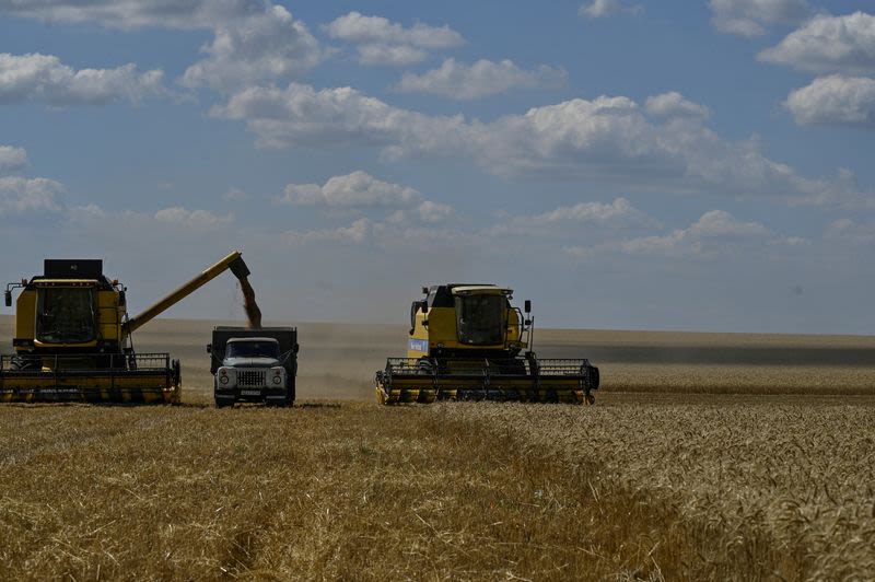 Ukraine seizes cargo ship, detains captain for exporting 'looted' grain