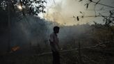 As Thailand gasps through another haze season, researchers hope a fire-charting app can help