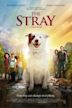 The Stray (film)