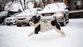 This week's storm delivered on cold but fell short of forecast snow in Fort Collins