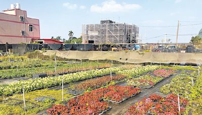 草花產值減 桃市農業局全力推廣