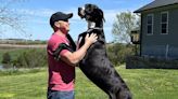 Meet Kevin, the World's Tallest Dog