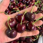 美國華盛頓櫻桃🍒 9R /5kg 空運 原裝箱 免運 (五公斤下標區)