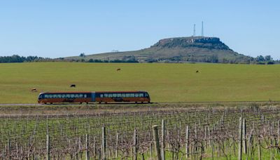 Opinião - Tinto ou Branco: Trem do Pampa leva turista para vinícola