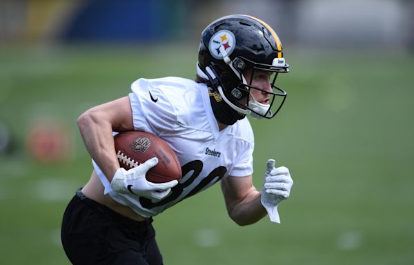 Dolphins Release Former Steelers WR